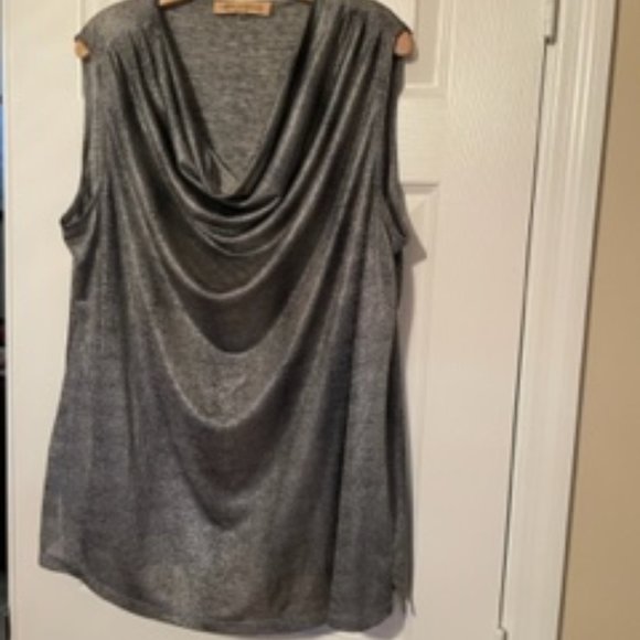 Nipon Boutique plus size 3x metallic twin set - Picture 2 of 2